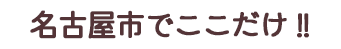 名古屋市でここだけ!!